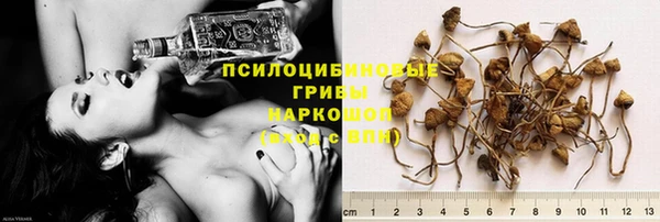 амф Гусь-Хрустальный