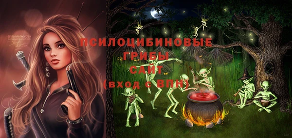 амф Гусь-Хрустальный