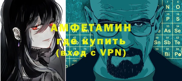 амф Гусь-Хрустальный