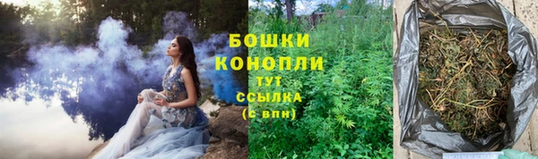 амф Гусь-Хрустальный