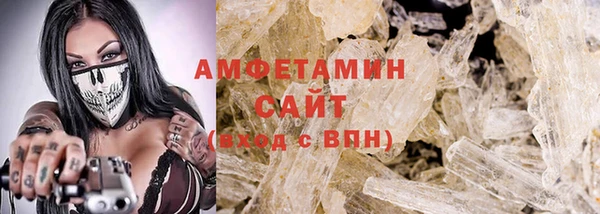 амф Гусь-Хрустальный