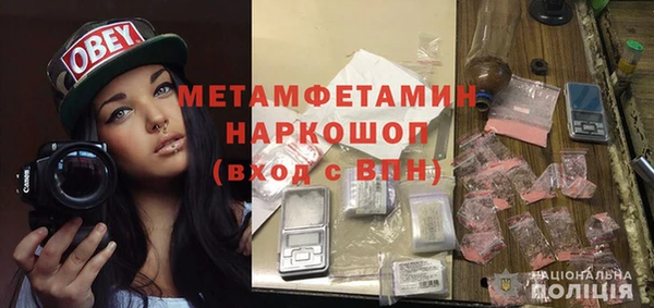 амф Гусь-Хрустальный