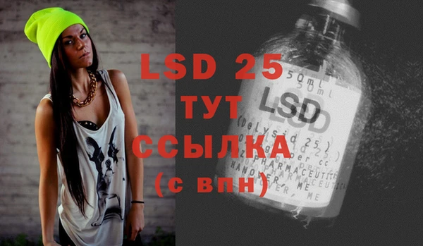 амф Гусь-Хрустальный