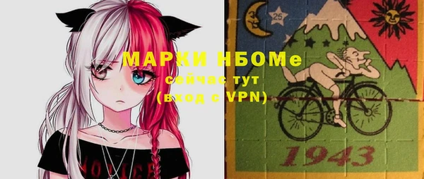 амф Гусь-Хрустальный