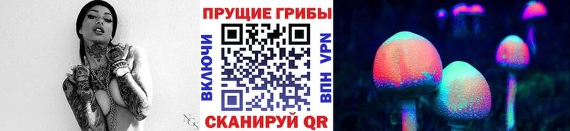 Купить где  Нижняя Тура  Псилоцибиновые грибы Cubensis 