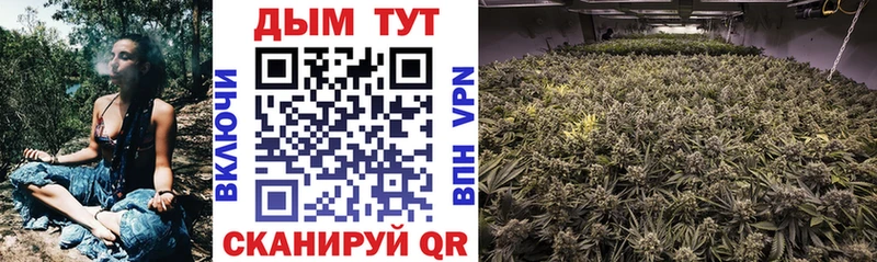 Купить где  Нижняя Тура  Конопля VHQ 
